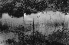 vineyard 35 Skopar.JPG