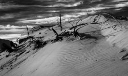 Sand Dune.jpg