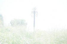 DSCF1021_1.jpg