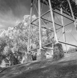 Bridge Pylon & Trees IR copy.jpg