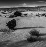 Sand Dunes and Shadows.jpg