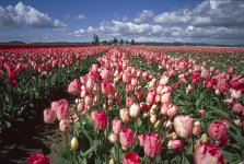 crop0029_FOR_WEB.jpg