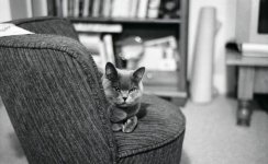 img031.jpg