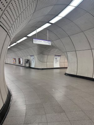 IMG_6359.jpeg