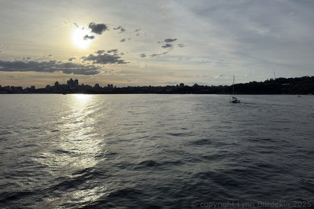 20250507-IMG_3166-Edit-1024-RFF.jpg