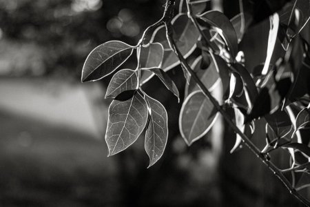 XP2C0017-3-2.jpg