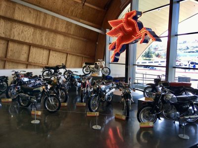 hoardOfHondas.jpeg