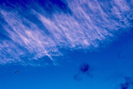 DSC_4839.jpg