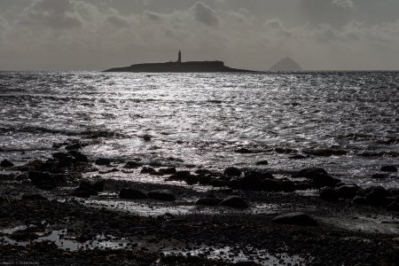 Pladda & Ailsa 01-11-2025 © Paul Kay.jpg