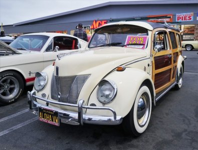 DSC02023 (3) (Large).JPG