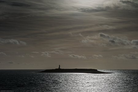 Pladda 02-11-2025 © Paul Kay.jpg