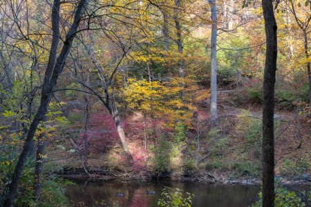 Across the Creek 2.jpg