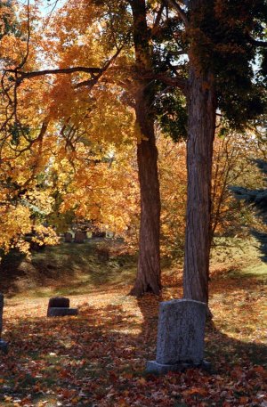 2025-10-19, 18_Cat Cemetary.jpg