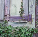 Window006.jpg