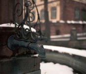 Mamiya7_001rf.jpg