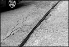 L1000816.jpg