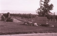 Image6.jpg