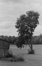 Scan-090719-0013.jpg