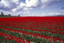 crop0032_FOR_WEB.jpg