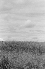 Scan-090719-0030.jpg