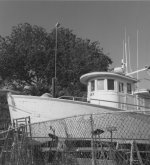 RLFX_TX_001_small.jpg