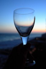 A Toast to A Day at the Beach - Destin 2012 rff.jpg