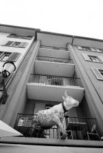 Skopar21 FP4 Heidi.jpg