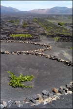 080430-05.jpg