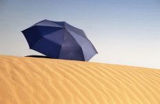 umbrellaondune.jpg