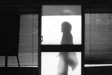 out window001.jpg