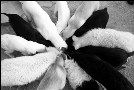 Screenshot 2025-11-28 at 17.11.34.png