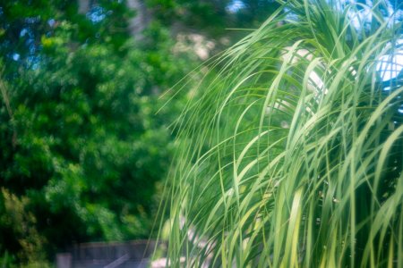 Summar f2 13122025.jpg