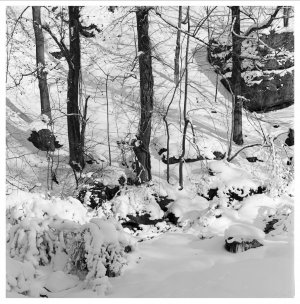 Akron Falls Snow.jpeg