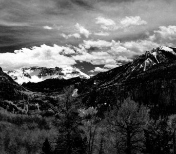 img20260116_00484382 copy.jpg