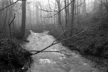 2026-1-28 Mist, OM2n, Zuiko 35mm, FP4 EI 200, HC110 Dil B 12m, EpsonScan,  016.jpg
