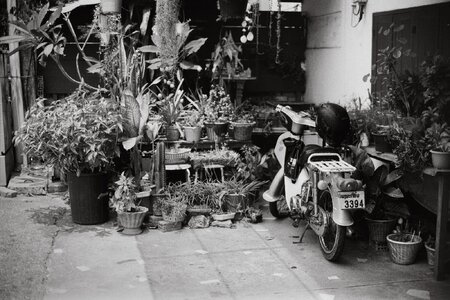 Moped and Plants - Vientiane - Apr 2024 - Nikon FA - 50mm f1pt2 - Neopan SS.jpeg