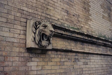 Lion Bust - Philadelphia - Dec 2025 - Bessa R3A - 40mm f1pt4 - Vision3 500T.jpg