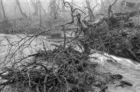 2026-2-1 St Johns Lee, Oly OM2, HP5, EI 320, D23,  8m30s, 019.jpg