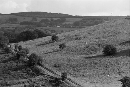 Leica IIIg - Roll 30 - Foma 100 - Rodinal (19).jpg