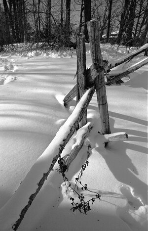 2026-02-02, 23_Sunny Acres_70_v2.jpg