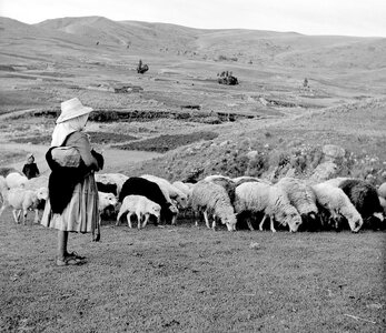 Shepherdess 6x6 holder lowest_2 copy.jpeg