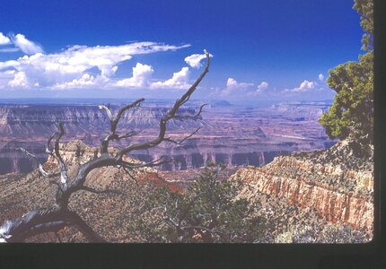 Grand Canyon from Crazy Jug Point3 copy.jpg