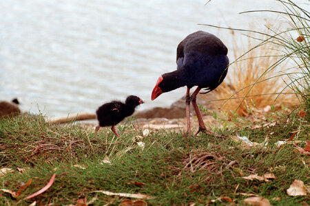 4781 - Fuji 200-20.JPEG