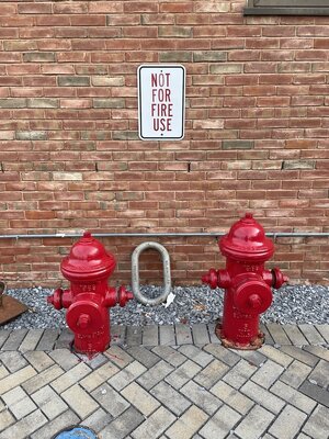 IMG_2239 fire hydrants copy4RFF resize2.jpg