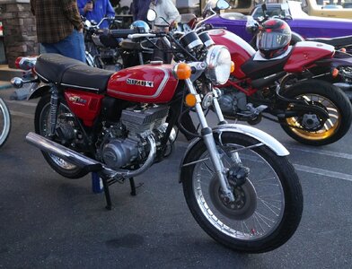 DSC03040 (2) (Large).JPG