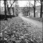 autumn.jpg