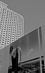 IMG_0081.jpg