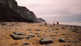 Contax Tix Charmouth.jpg