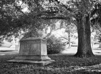 Straight-JPG_1715_2.jpg