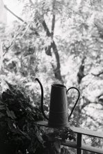 WateringCan_4_F1000010.jpg